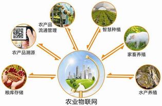 2017安徽農(nóng)業(yè)物聯(lián)網(wǎng)展會 推動物聯(lián)網(wǎng)技術(shù)研發(fā)與農(nóng)業(yè)現(xiàn)代化